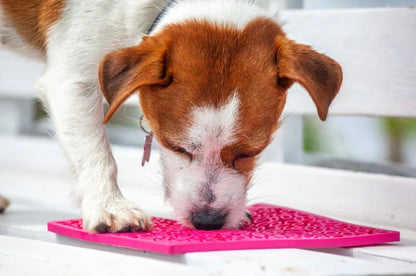 Flower Power emat - Enrichment Lick Mat for Dogs and Cats |
