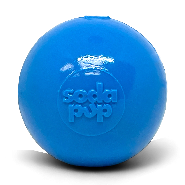 Squeak Ball - Durable Squeaky Dog Toy, Floats, Chew Toy |