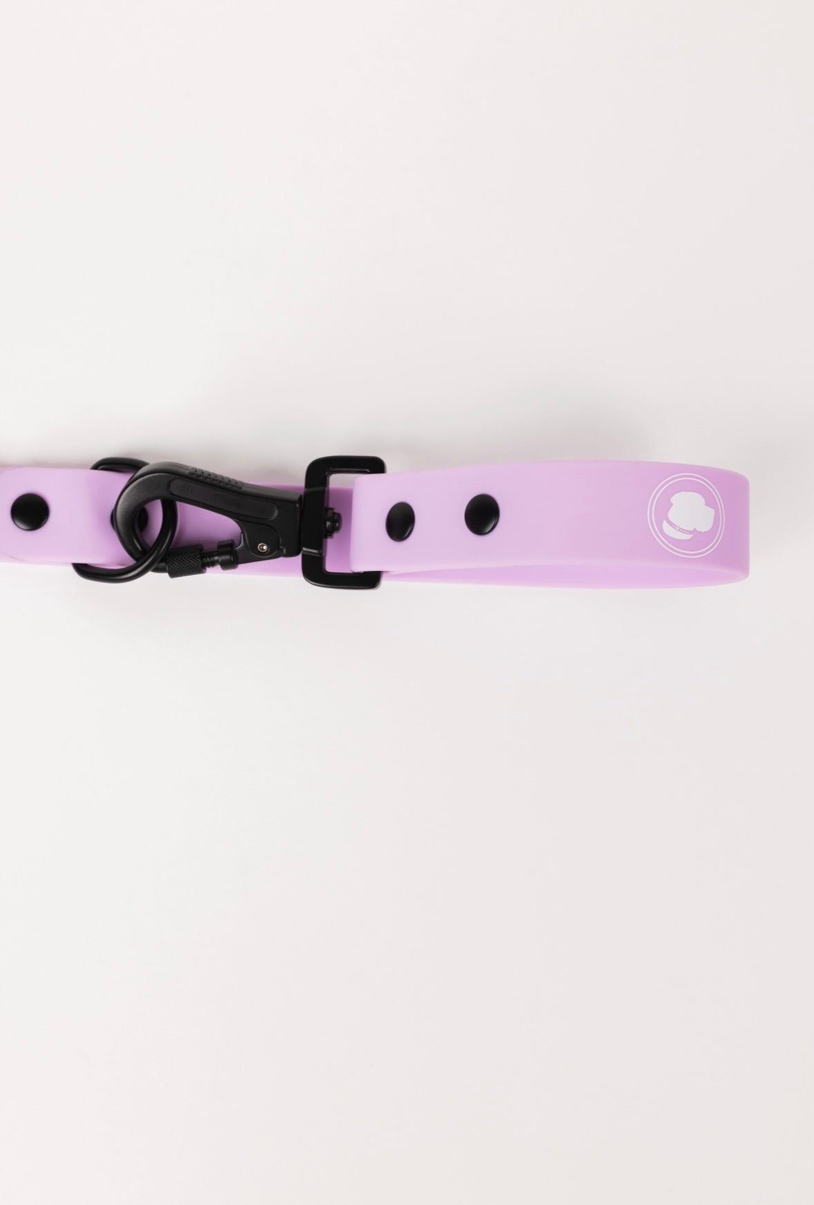 Dog Leash Leash Blush Pink for Everyday Walking Leash Essent - lifestyle product image for dog leash
