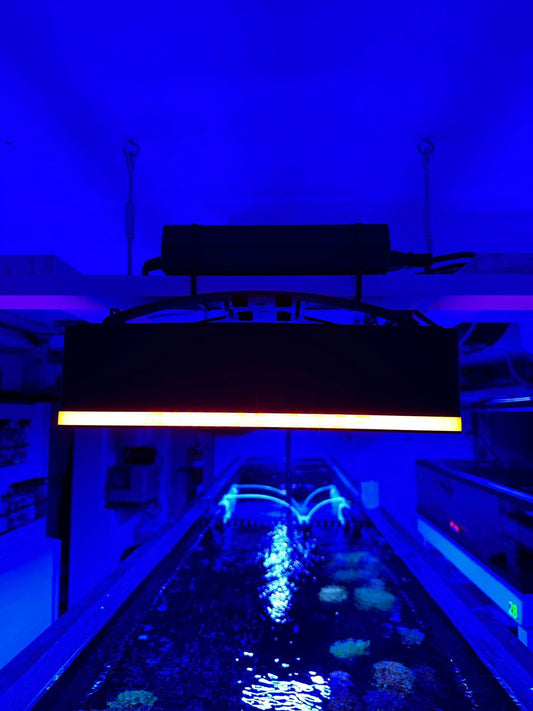 XR30 Halo Shade - Aquarium LED Light Cover