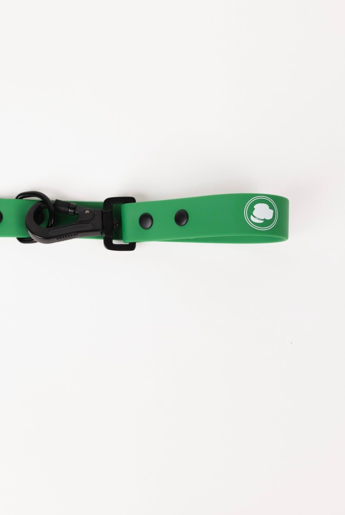 Dog Leash Clover Green Durable Webbing