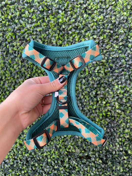 Purrfect Pet Kingdom The Modern Dog Company - Camping Harness (Small) - Premium Product