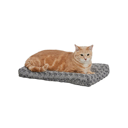 Cat lying on a gray cushion with a white background