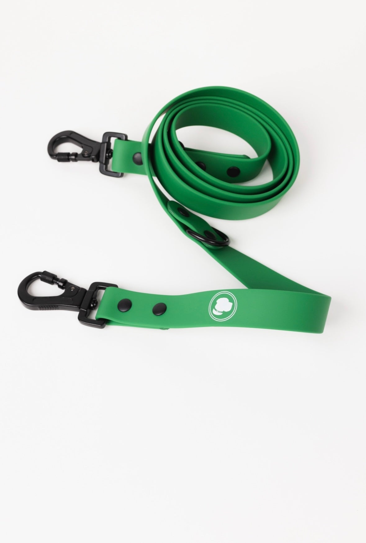 Dog Leash Clover Green Durable Webbing