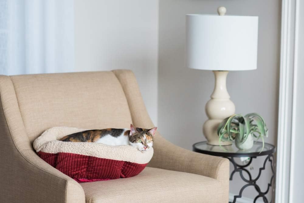 Cat lounging on a red and beige pet bed in a living room with a lamp and plant in the background.