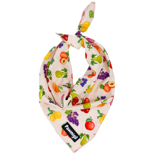 Frootie Patootie Cooling Bandana - Dog Bandana - Pawmigo