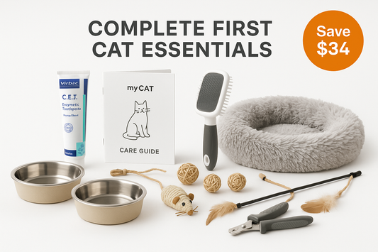 Complete New Cat Parent Starter Kit - All Essentials Bundle