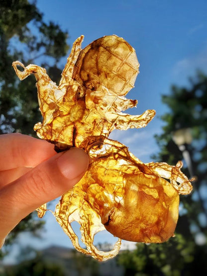 Naked Beasts Gourmet Wild Caught Octopus Dog Treats 5oz Bag