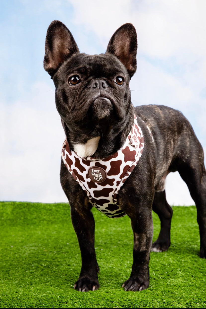 Chocolate Cow Adjustable Harness Dog Harness | Purrfect Pet
