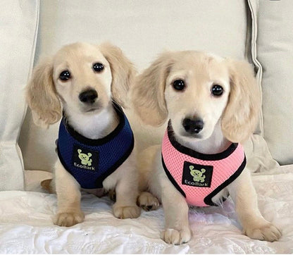 EcoBark Bubblegum Pink Dog Harness - Over-the-Head Dog Vest