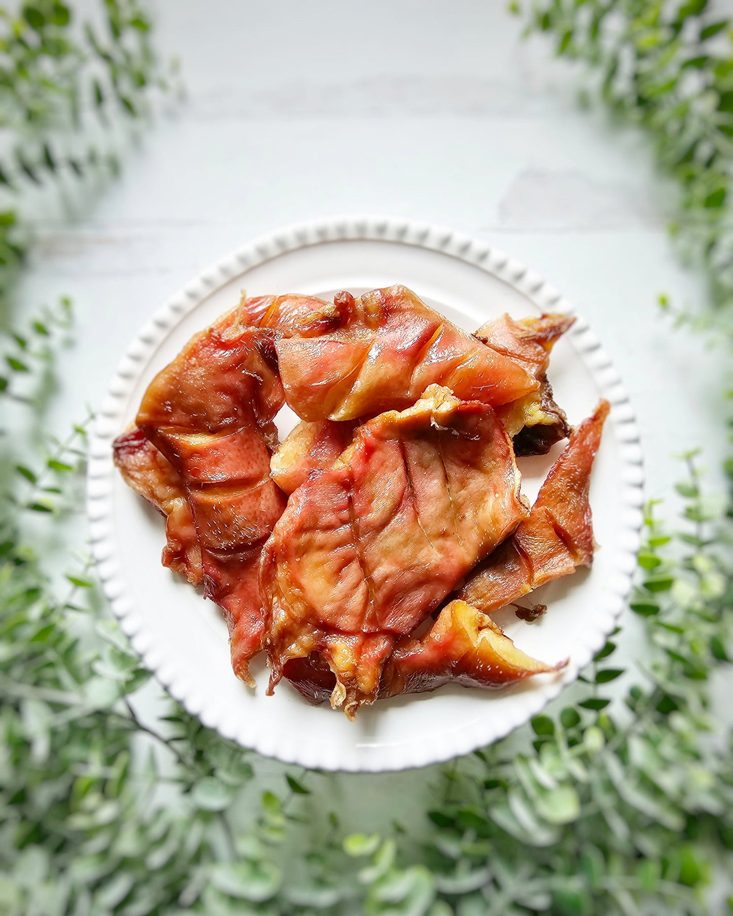 Pig Snout | Purrfect Pet Kingdom