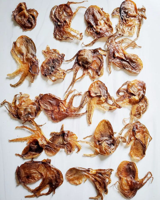 Naked Beasts Gourmet Wild Caught Octopus Dog Treats 5oz Bag