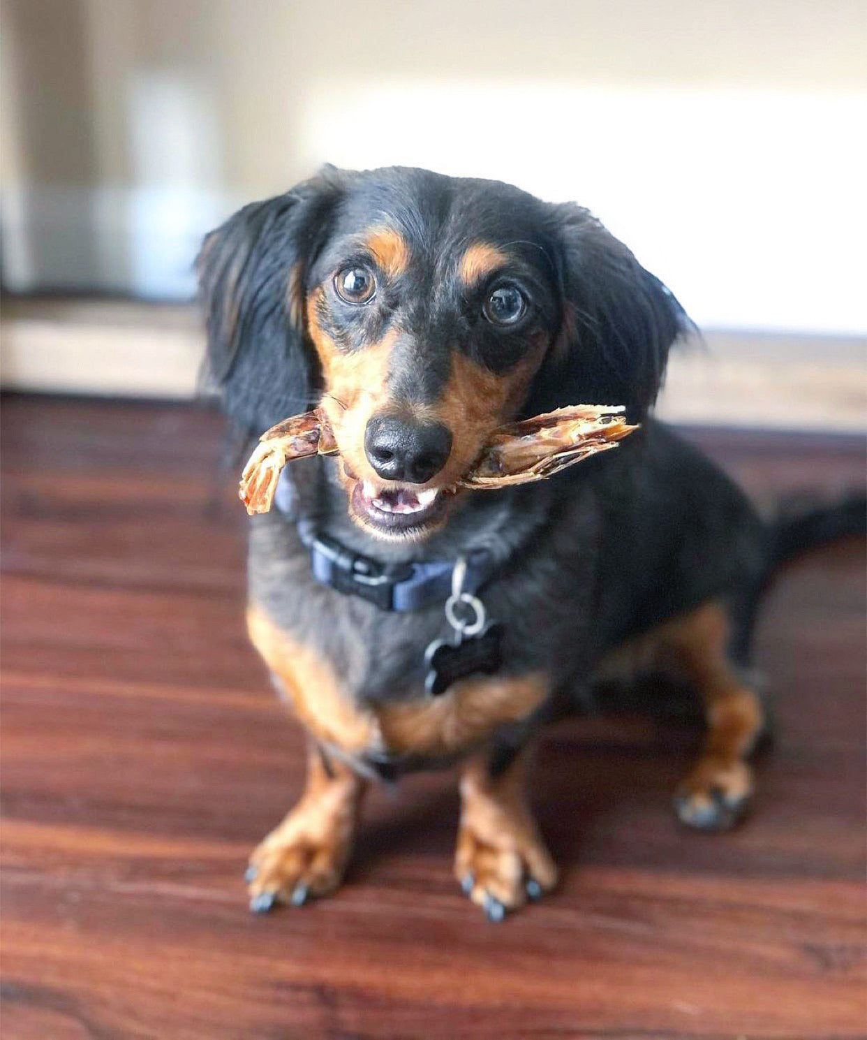 Naked Beasts Natural Dried Shrimp High Protein Dog Treats