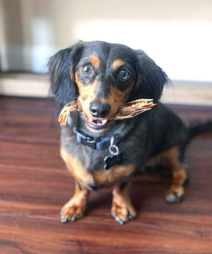 Naked Beasts Natural Dried Shrimp High Protein Dog Treats