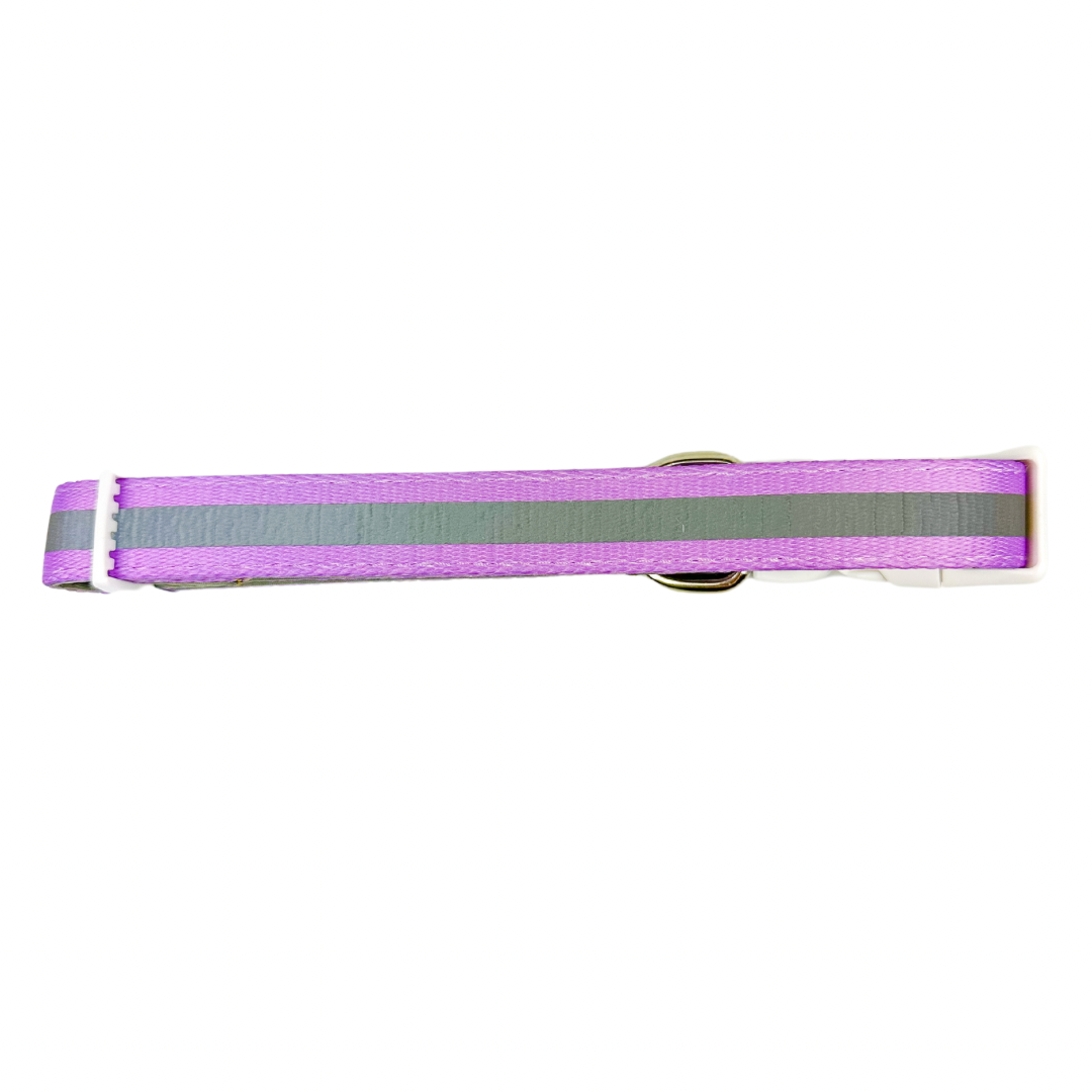Pet Collar Collar Shine Bright Amethyst Collar for Daily Use - detail product image for pet collar