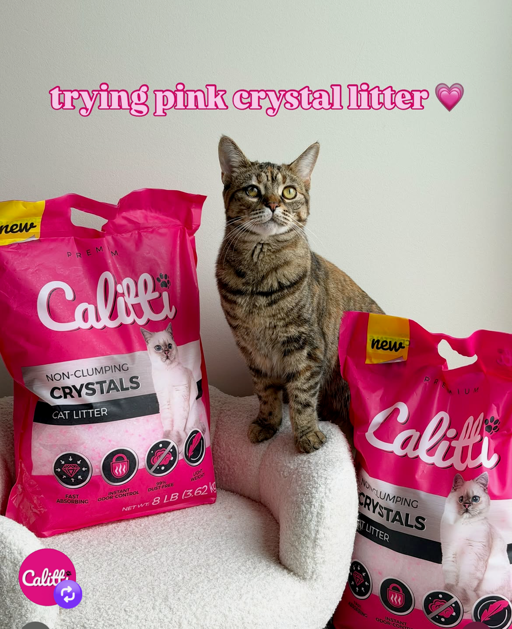 Calitti CRYSTALS Non-Clumping Unscented 8 LB #223451 | Purrfect