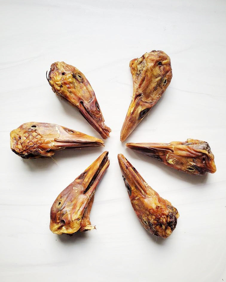 All Natural Duck Head Dental Chews for Small Breed Dog Heal