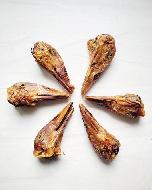All Natural Duck Head Dental Chews for Small Breed Dog Heal