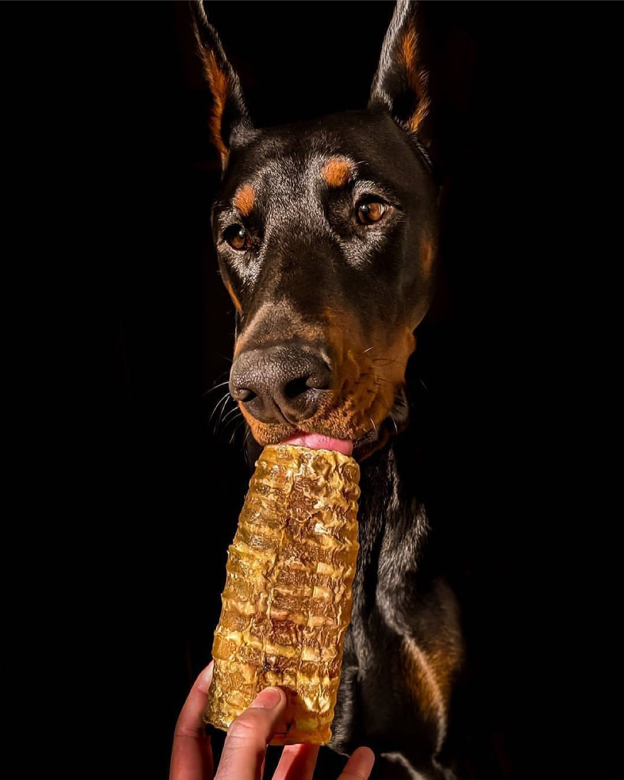 Beef Trachea (Grass Fed & Finished) | Purrfect Pet Kingdom
