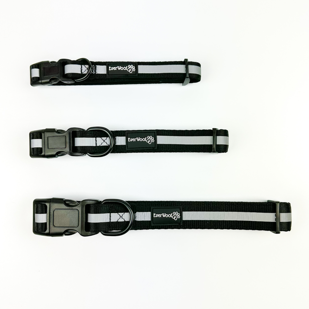Pet Collar Collar Shine Bright Obsidian Collar for Daily Use - lifestyle product image for pet collar