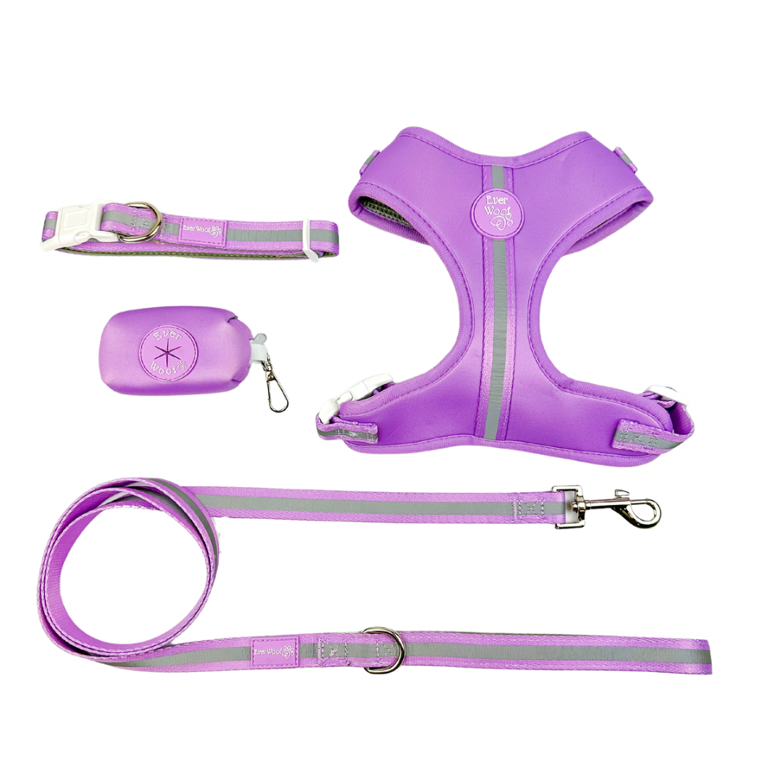 Pet Harness Harness Shine Bright Amethyst Adjustable Essenti - lifestyle product image for pet harness