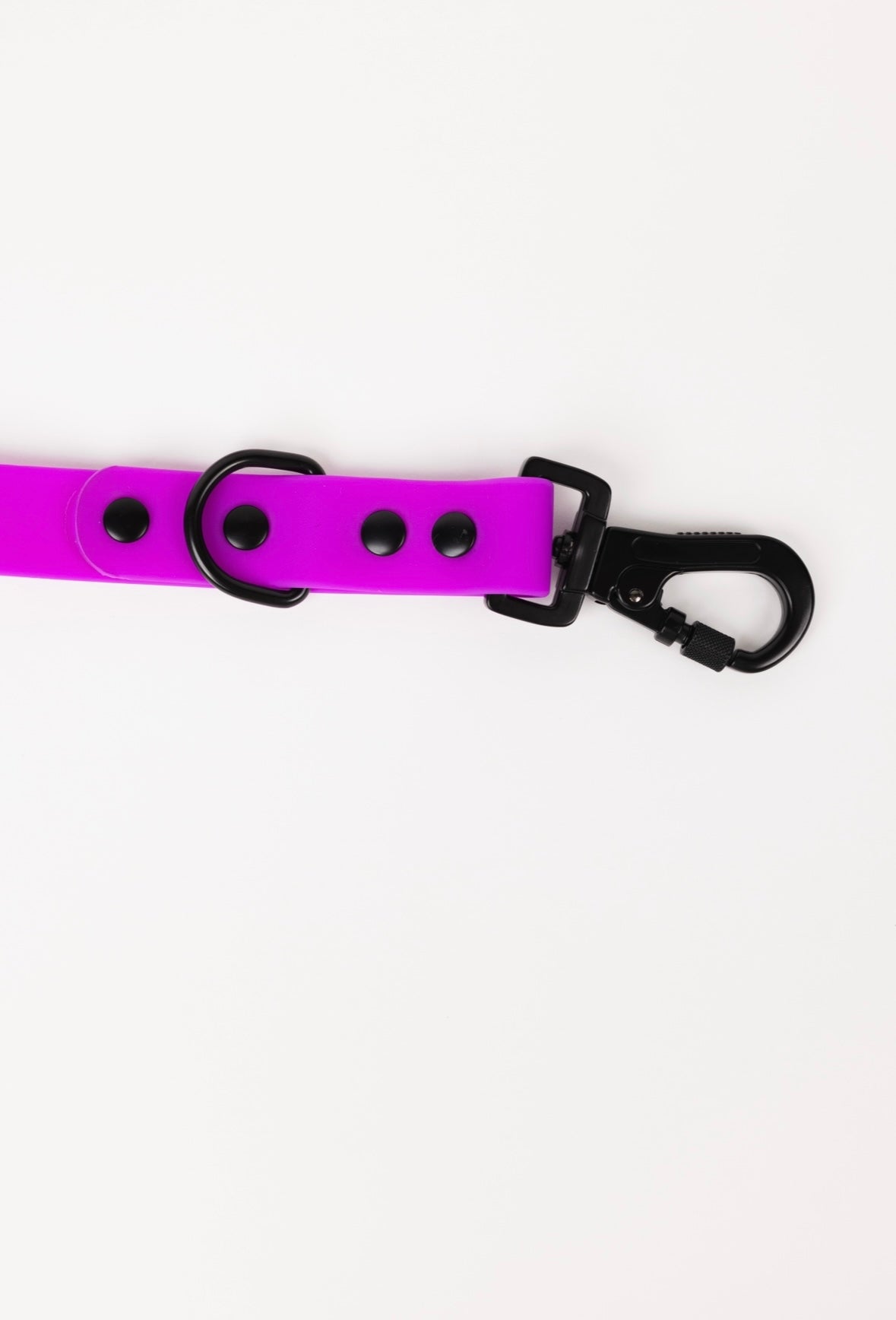 Dog Leash Electric Fuchsia Weather Resistant 54in