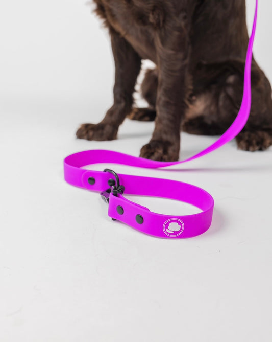 Dog Leash Electric Fuchsia Weather Resistant 54in