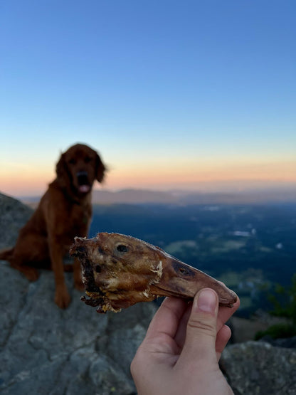 All Natural Duck Head Dental Chews for Small Breed Dog Heal