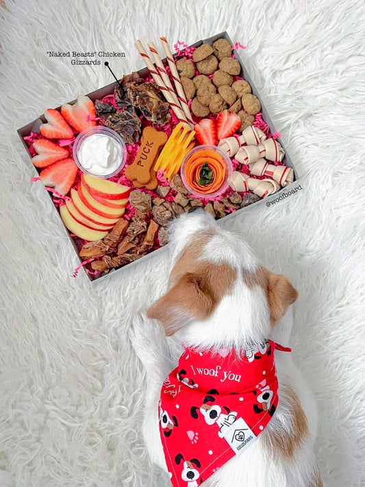 Chicken Gizzards | Purrfect Pet Kingdom
