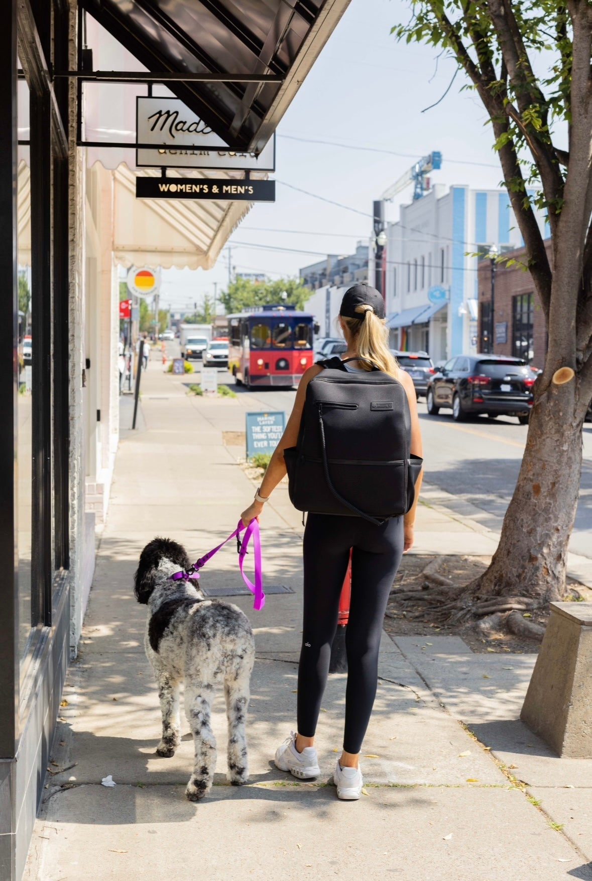 Dog Collar Electric Fuchsia Weather Odor Resistant