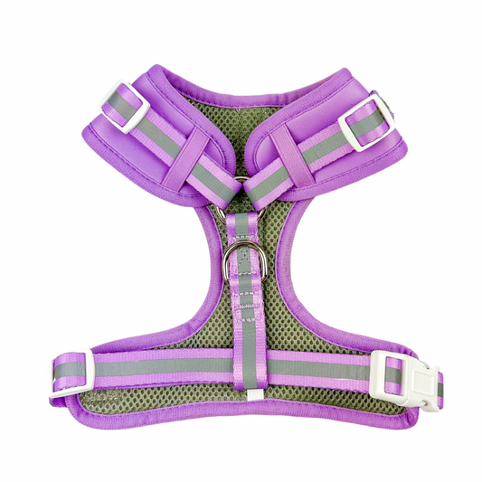 Pet Harness Harness Shine Bright Amethyst Adjustable Essenti - detail product image for pet harness