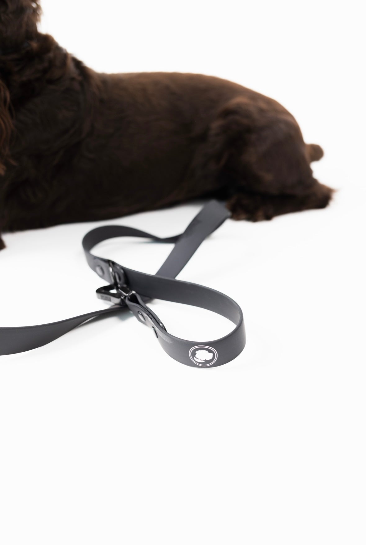Dog Leash Leash Better in Black Everyday Walking Leash Essen - detail product image for dog leash