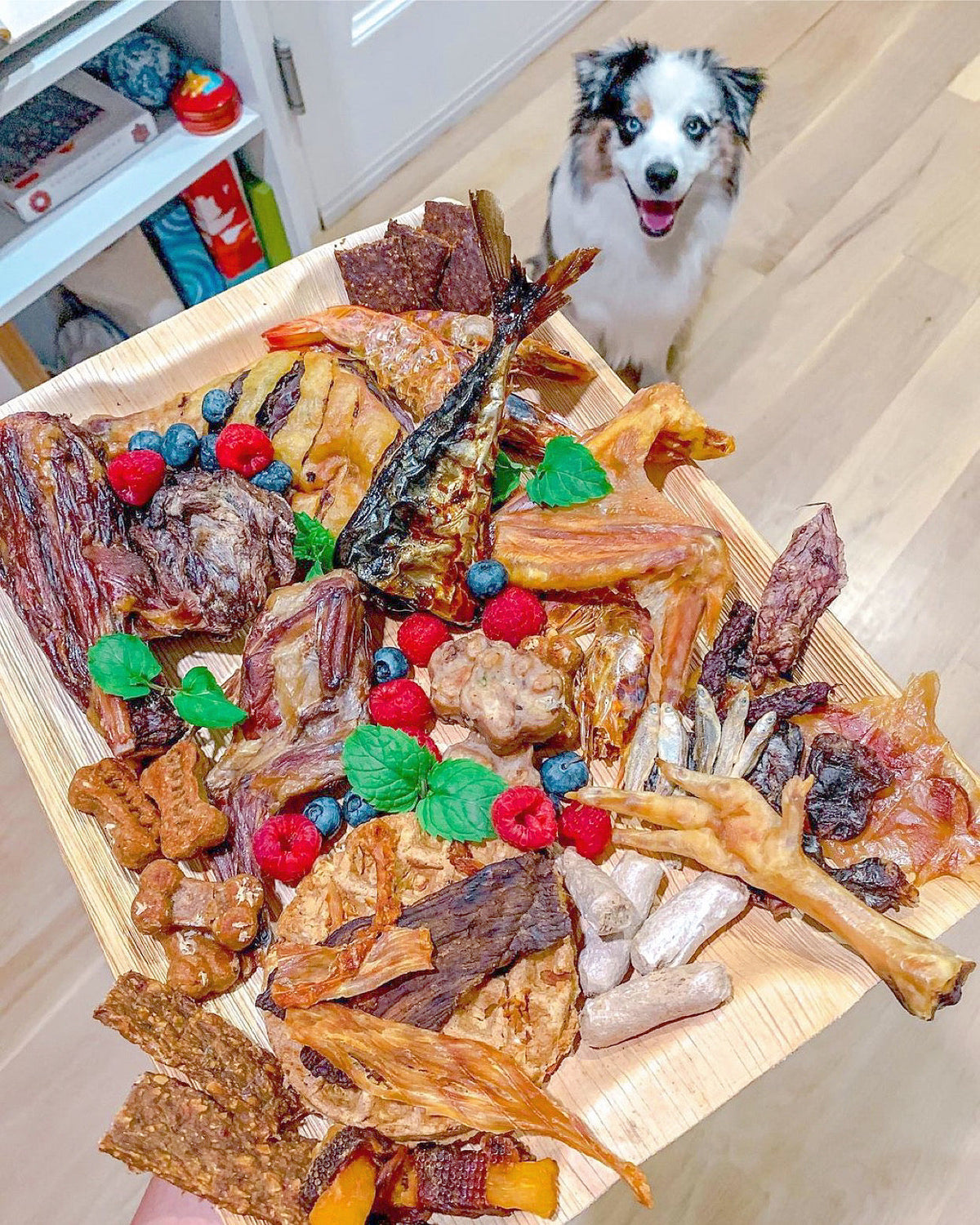 Purrfect Kingdom™ - Lamb Shank Single Ingredient Reward Treat