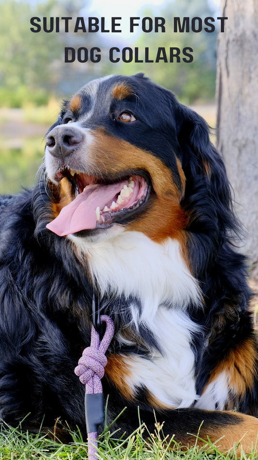 Adventure Style Mountain Blush Climbing Rope Dog Leash - Dog Leashes - Euro - Dog Collars and Leads