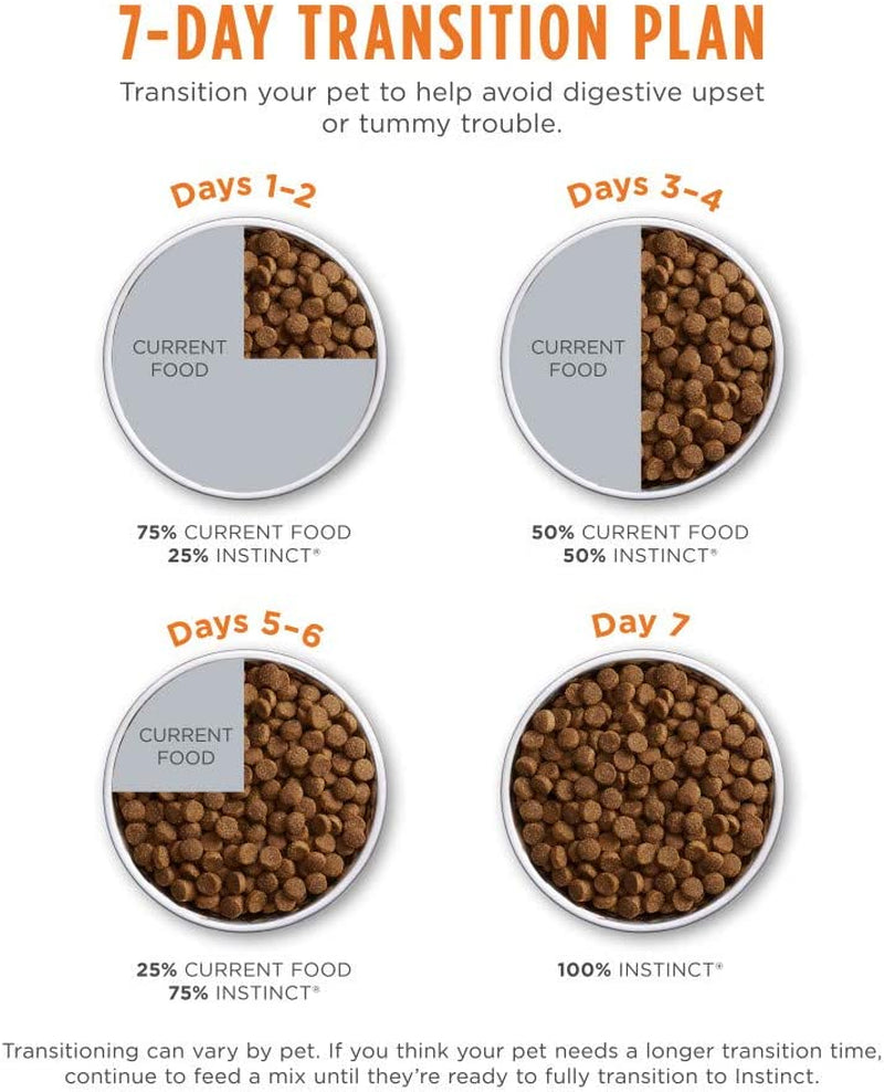 7-Day Transition Plan for healthy cat food for all life stages showing gradual food mixing for digestive health