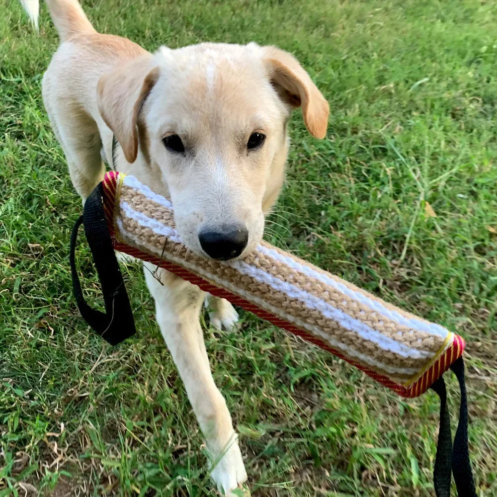 Interactive dog training pillow from Tail Chasers being enjoyed by a playful puppy outdoors
