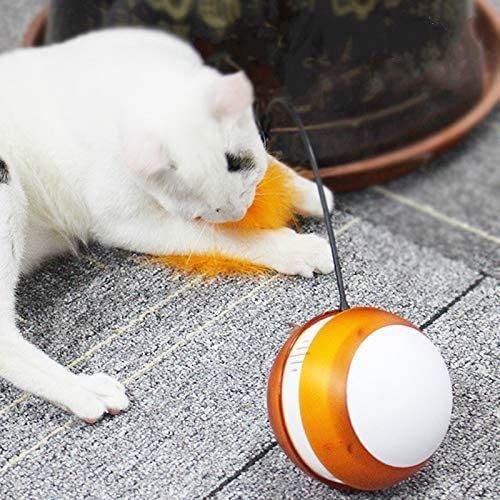 Purrfect Pet Kingdom Interactive LED Cat Toy with Feather Purrfect Pet Kingdom