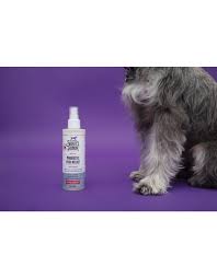 Skout's Honor Probiotic Itch Relief spray next to a scruffy gray dog on a solid purple background.