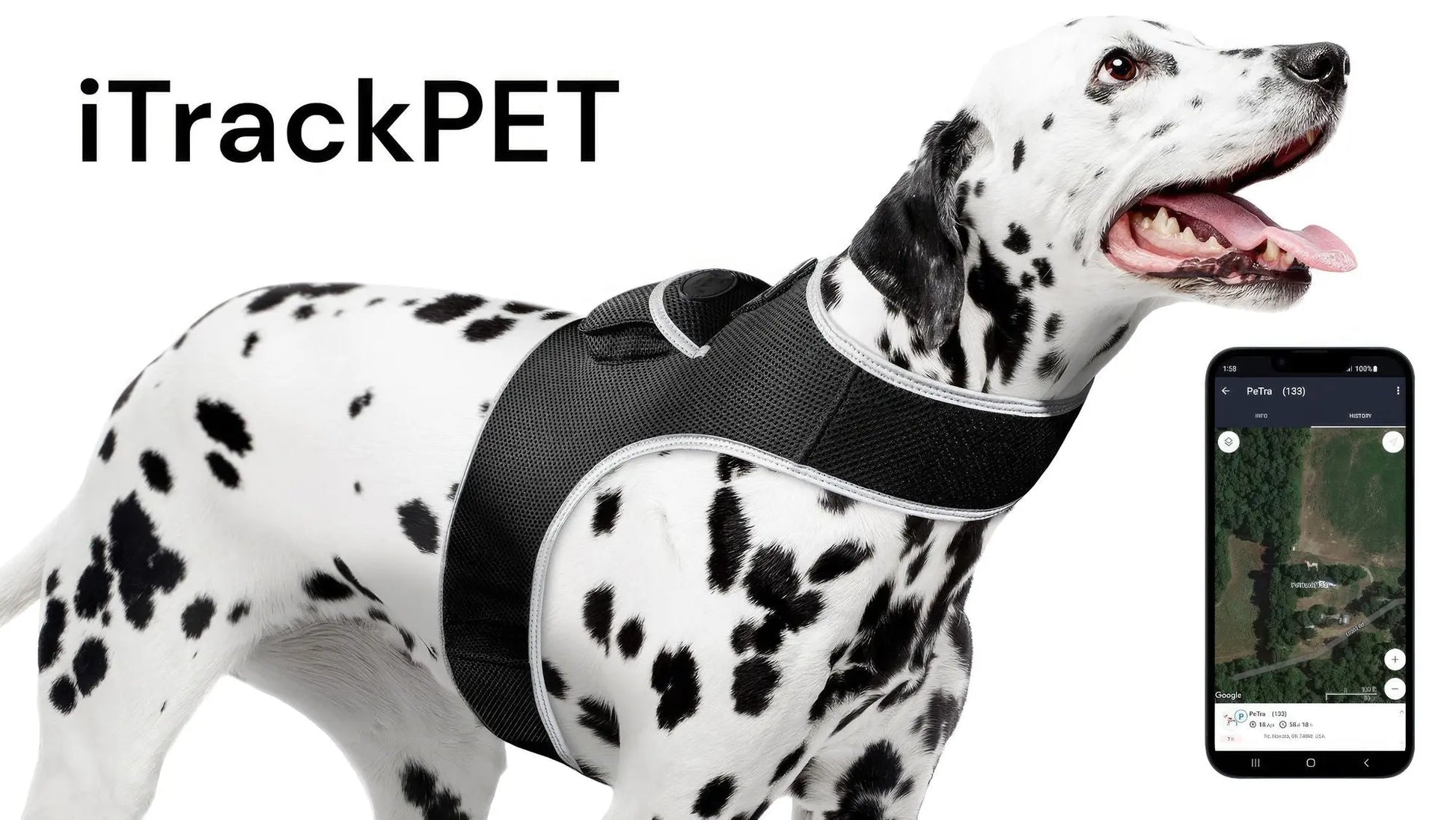 Purrfect Pet Kingdom iTrackPET GPS Tracking Harness Purrfect Pet Kingdom