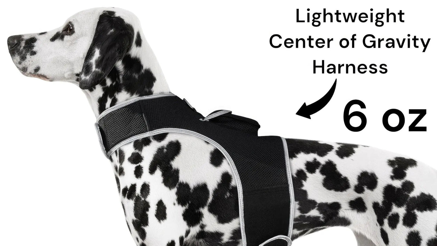 Purrfect Pet Kingdom iTrackPET GPS Tracking Harness Purrfect Pet Kingdom