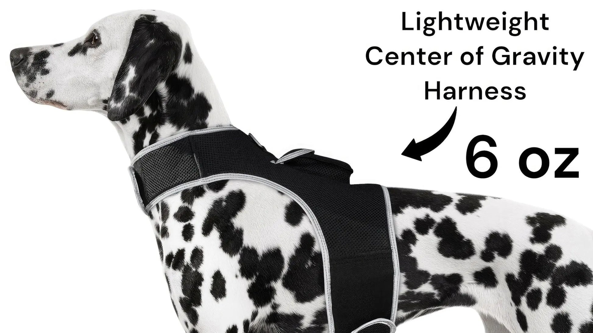 Purrfect Pet Kingdom iTrackPET GPS Tracking Harness Purrfect Pet Kingdom
