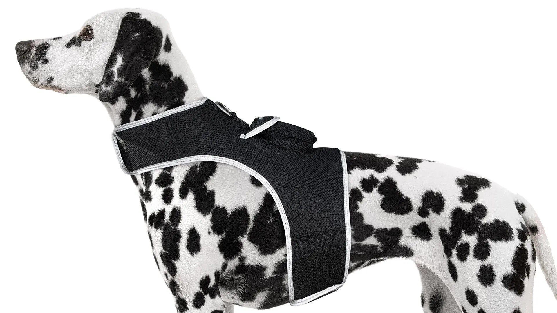 Purrfect Pet Kingdom iTrackPET GPS Tracking Harness Purrfect Pet Kingdom