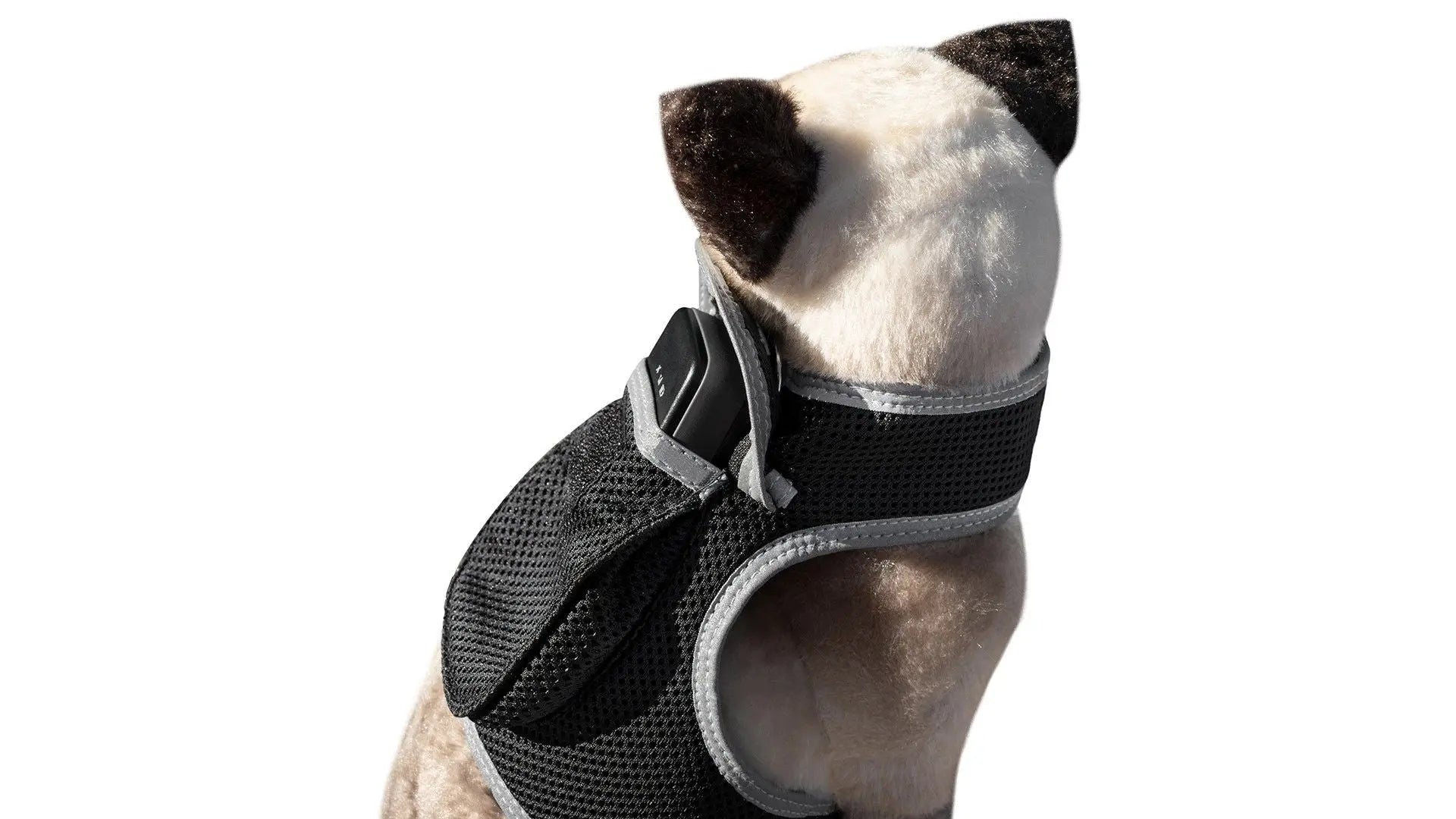 Purrfect Pet Kingdom iTrackPET GPS Tracking Harness Purrfect Pet Kingdom