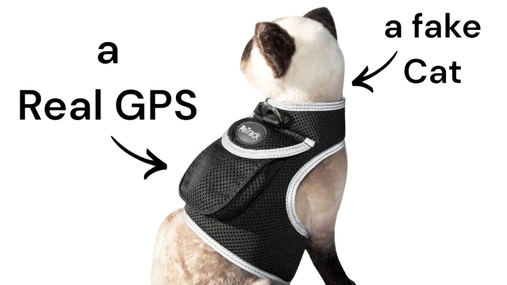 Purrfect Pet Kingdom iTrackPET GPS Tracking Harness Purrfect Pet Kingdom