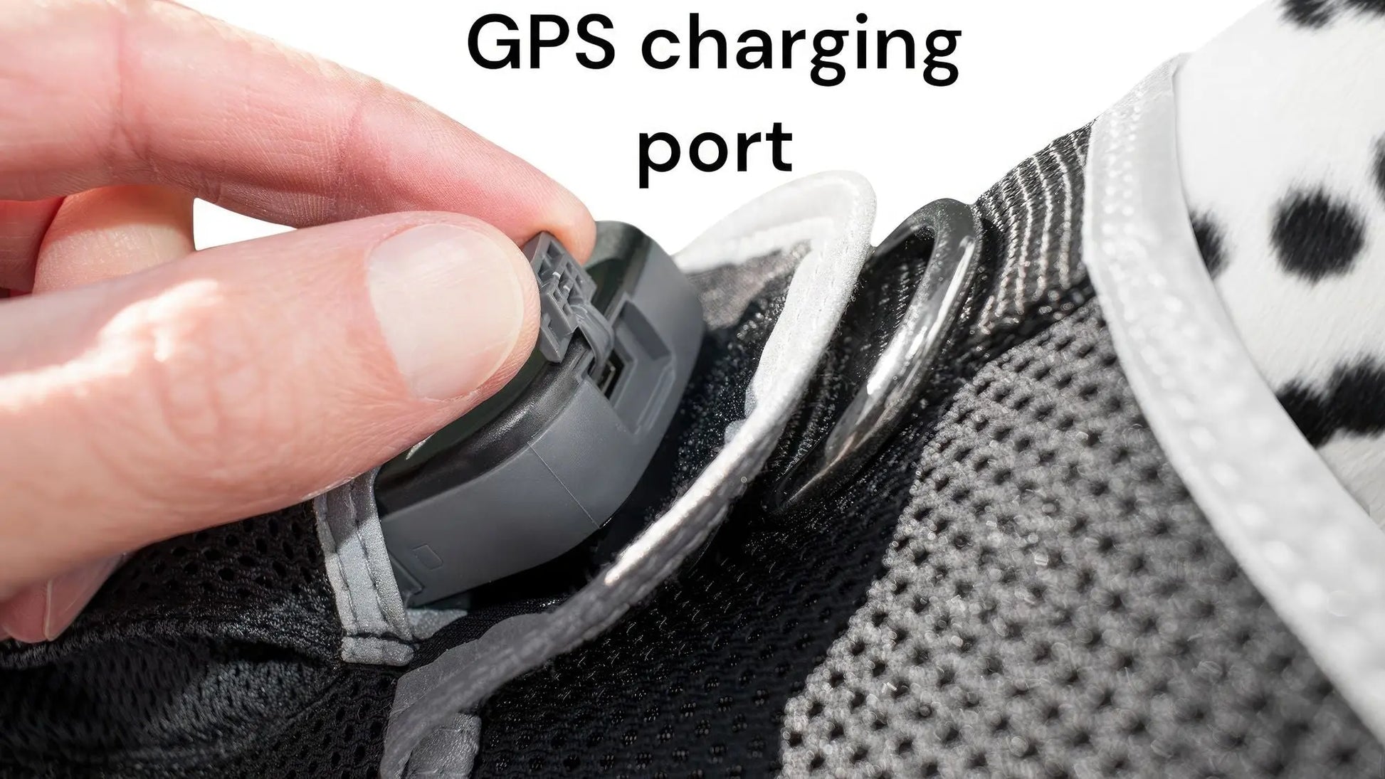 Purrfect Pet Kingdom iTrackPET GPS Tracking Harness Purrfect Pet Kingdom