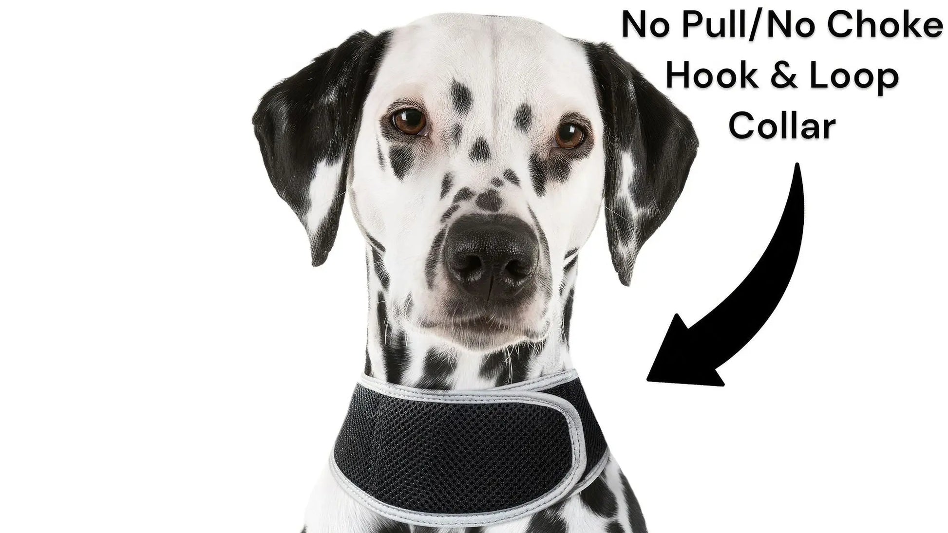 Purrfect Pet Kingdom iTrackPET GPS Tracking Harness Purrfect Pet Kingdom