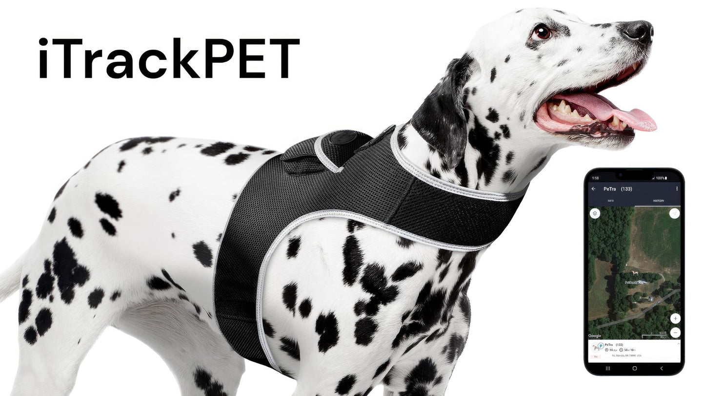 Purrfect Pet Kingdom Large Size Pet GPS Collar with Mesh Harness Purrfect Pet Kingdom