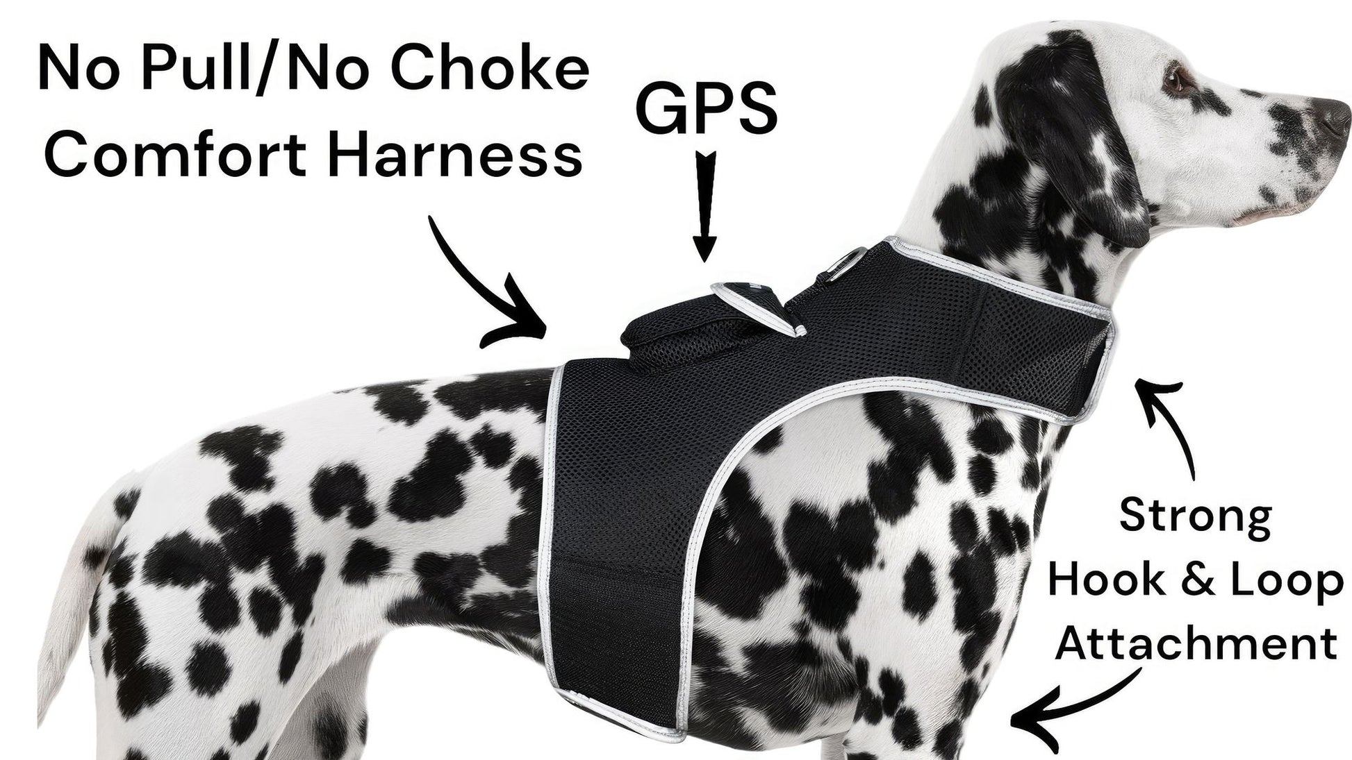 Purrfect Pet Kingdom Large Size Pet GPS Collar with Mesh Harness Purrfect Pet Kingdom