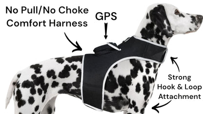 Purrfect Pet Kingdom Large Size Pet GPS Collar with Mesh Harness Purrfect Pet Kingdom