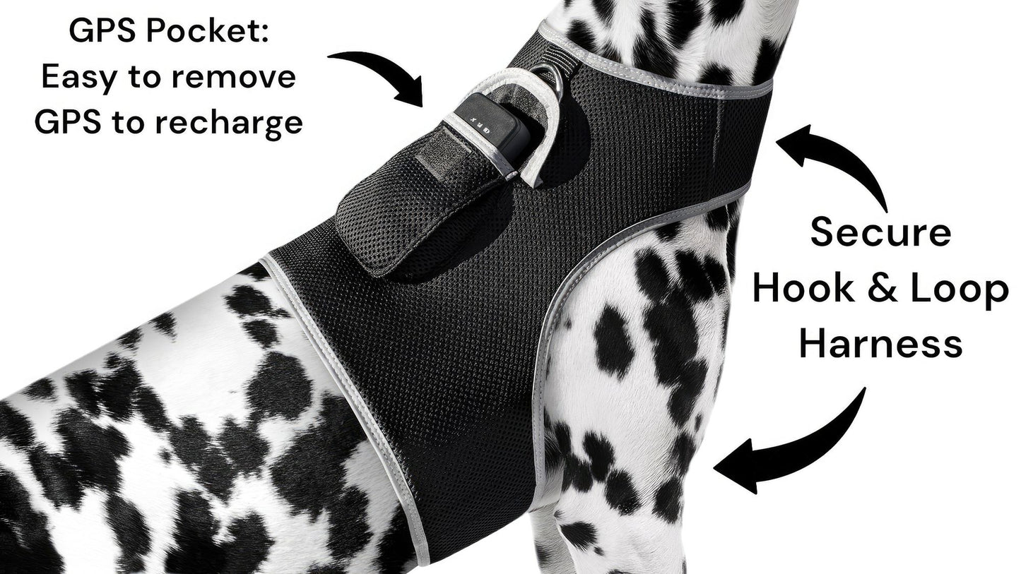 Purrfect Pet Kingdom Large Size Pet GPS Collar with Mesh Harness Purrfect Pet Kingdom